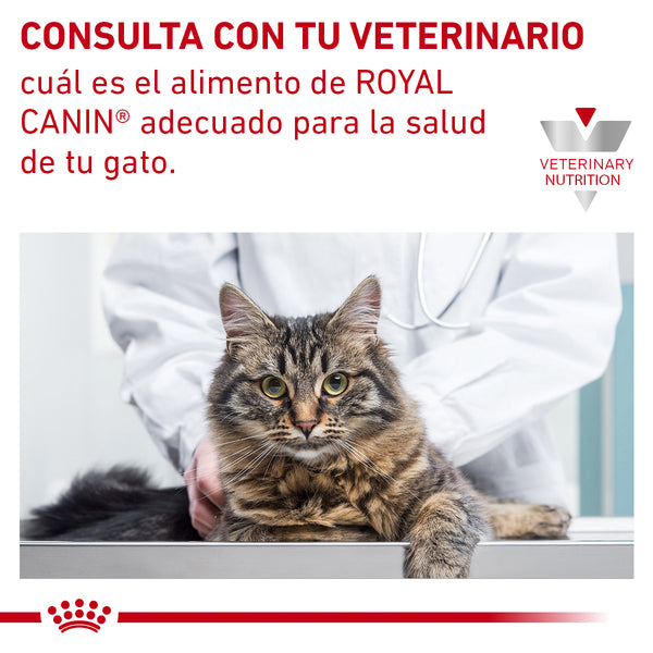 ROYAL CANIN GATO HM WEIGHT CONTROL FELINE 3.5 KG