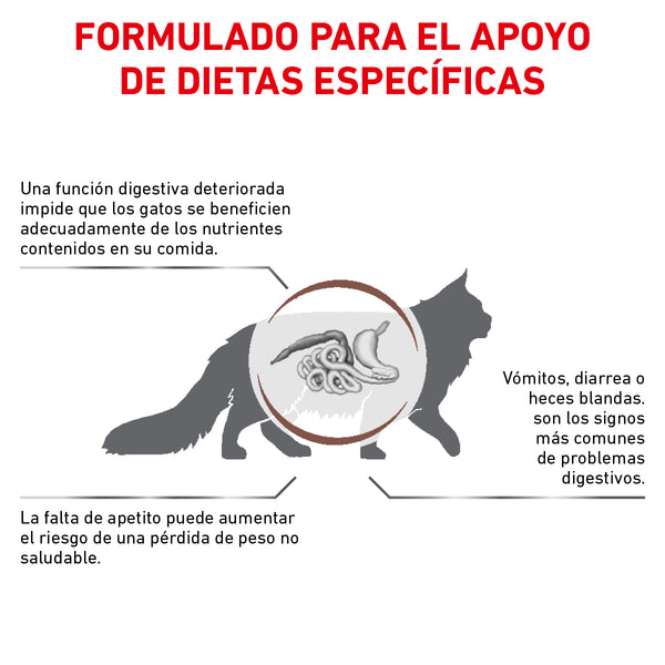 ROYAL CANIN GATO GASTROINTESTINAL  4 KG