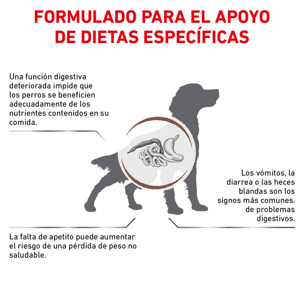 ROYAL CANIN PERRO GASTROINTESTINAL 10 KG