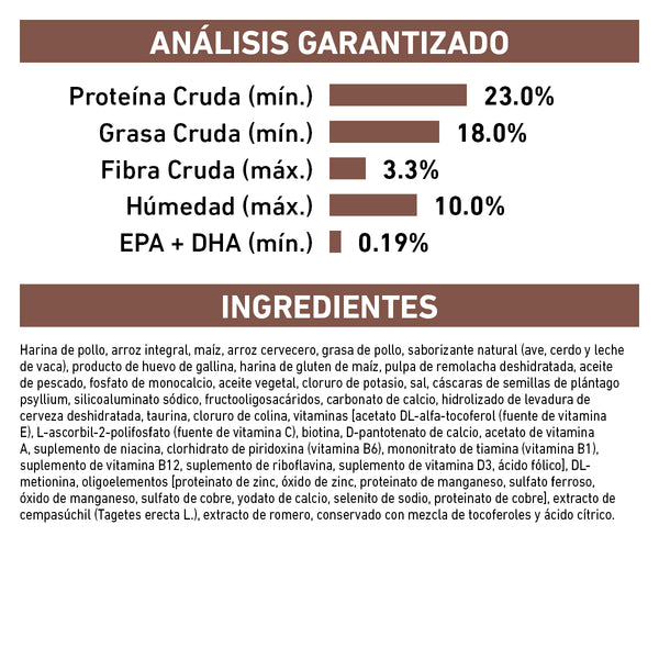 ROYAL CANIN PERRO GASTROINTESTINAL 4 KG