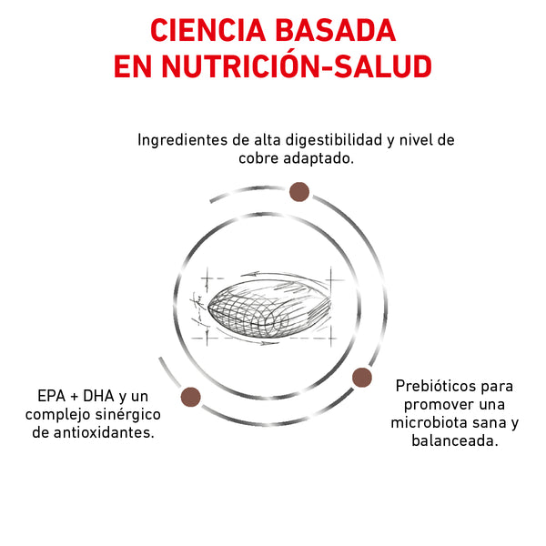 ROYAL CANIN PERRO HEPATIC 12 KG