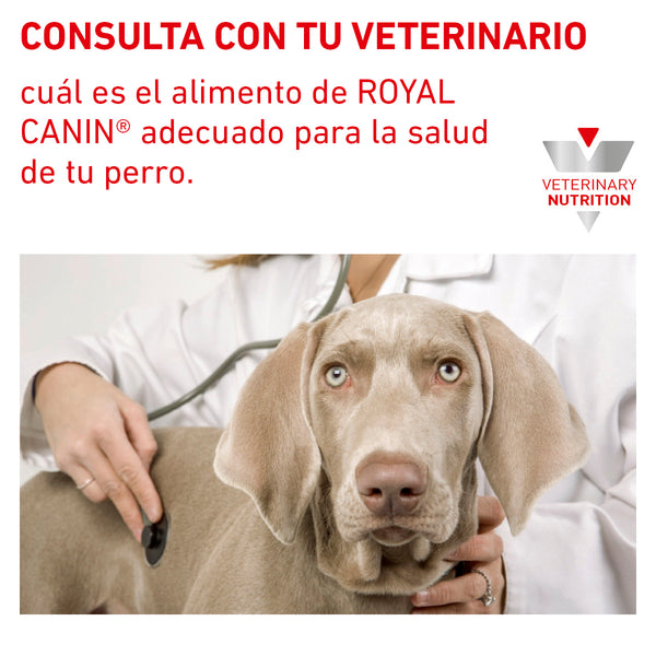 ROYAL CANIN PERRO GASTRO-INTESTINAL LOW FAT 13 K