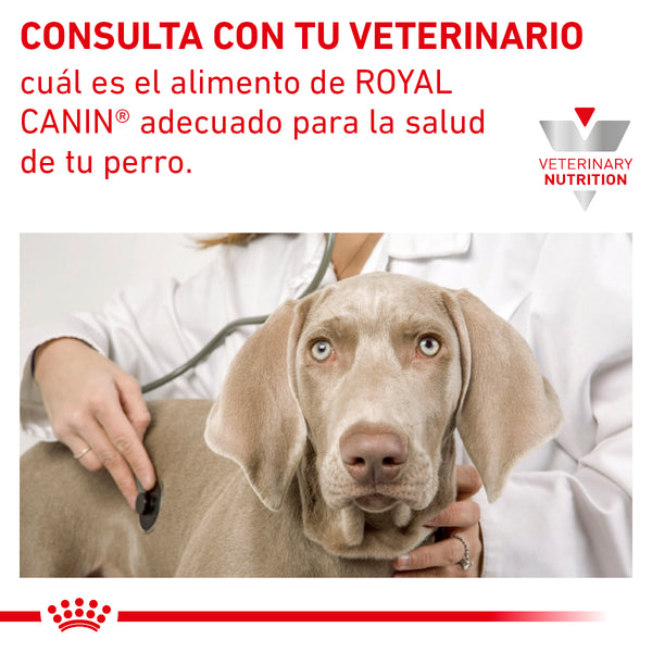 ROYAL CANIN PERRO VS ADVANCE MOBILITY CANINE 4 KG