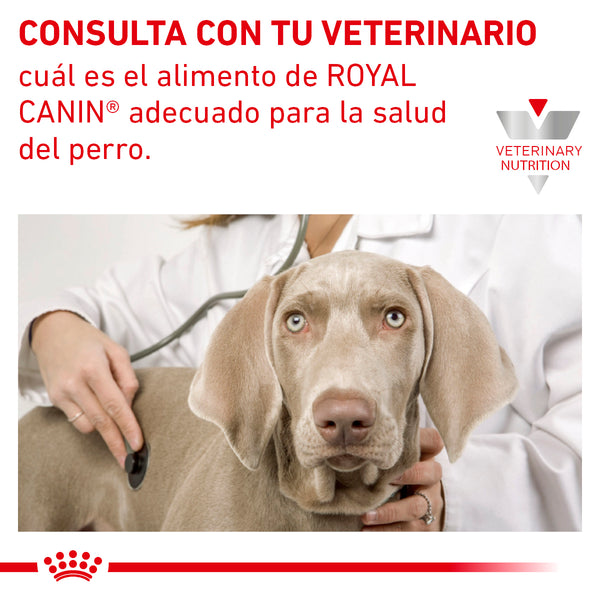 Alimento Royal Canin Canine Adult