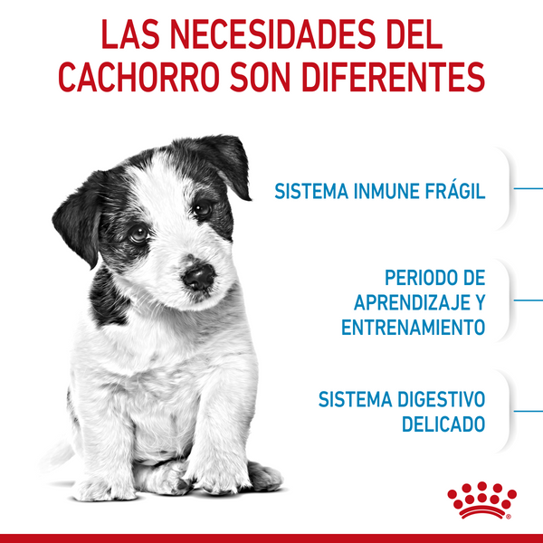 ROYAL CANIN PERRO HM SMALL PUPPY 1.14 KG
