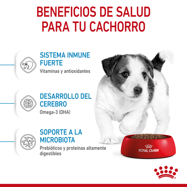 ROYAL CANIN PERRO HM SMALL PUPPY 1.14 KG