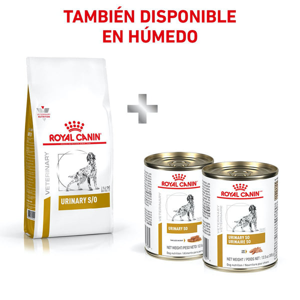 RC PERRO URINARY SO MODERATE CAL 3.5 KG