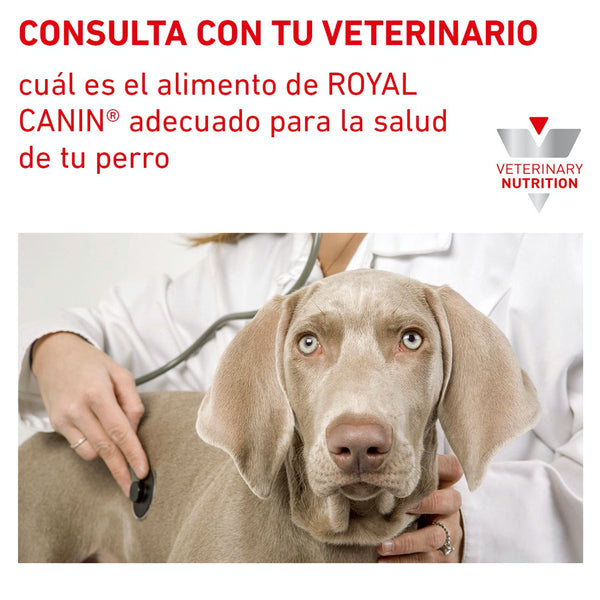 RC PERRO URINARY SO MODERATE CAL 3.5 KG