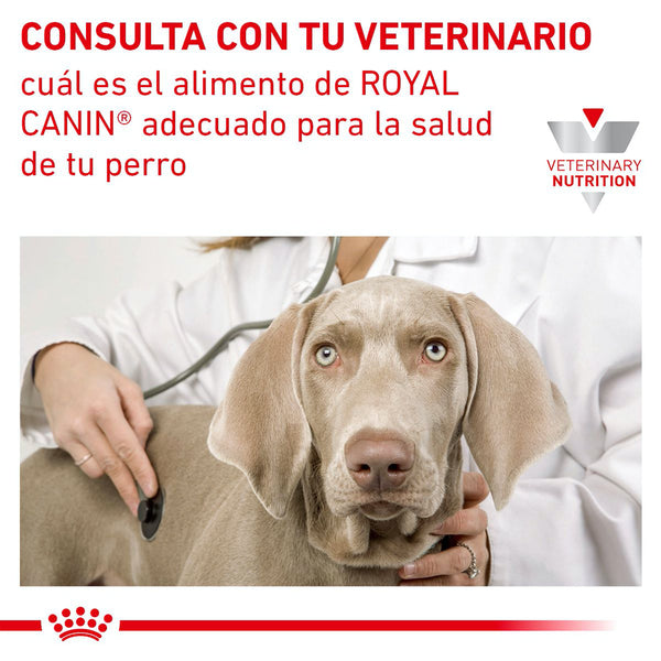 ROYAL CANIN PERRO URINARY SO MOD CAL GRAVY 355 G (envío a partir de $250.00 pesos)