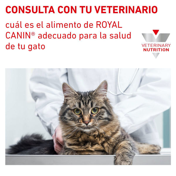 ROYAL CANIN GATO URINARY SO 8 KG