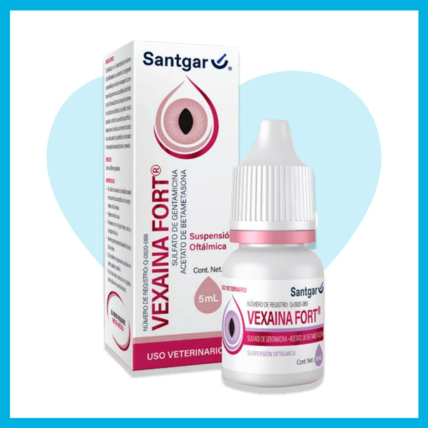 Betagen Forte Suspensión Oftálmica 5ml Nuevo nombre VEXAINA FORT