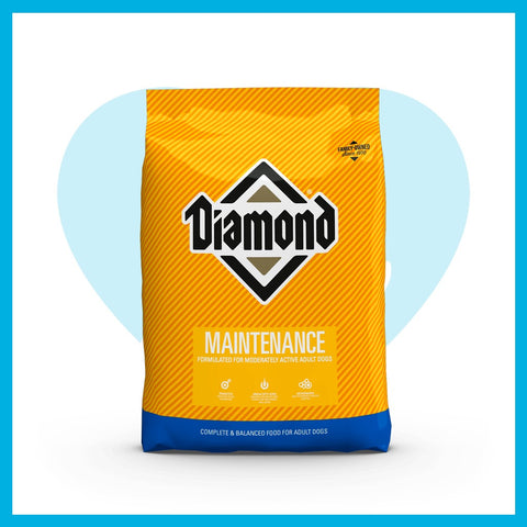 DIAMOND MAINTENANCE PERRO 2 KG (IDEAL PARA PERROS ADULTOS MODERADAMENTE ACTIVOS)