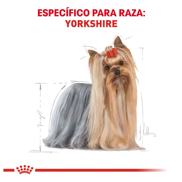 ROYAL CANIN PERRO BHN YORKSHIRE TERRIER 4.55 KG