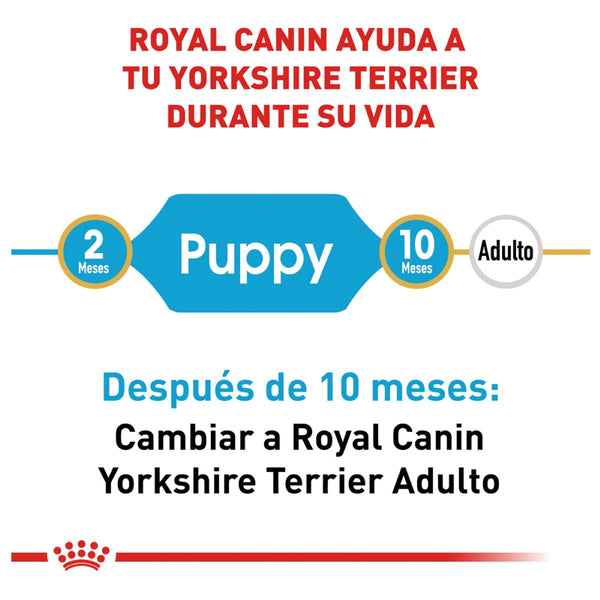 RC CACHORRO BHN YORKSHIRE TERRIER 1.14 KG