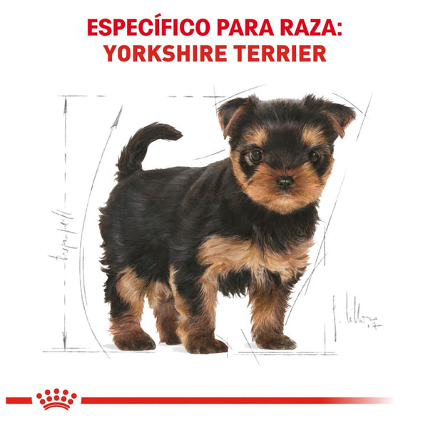 RC CACHORRO BHN YORKSHIRE TERRIER 1.14 KG