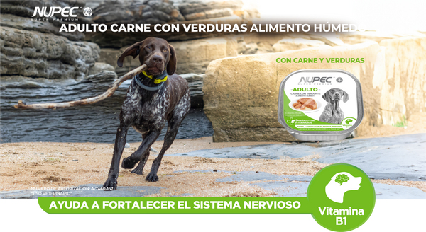 NUPEC ADULTO LATA 100 MG CARNE CON VERDURAS