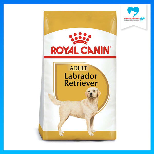 ROYAL CANIN PERRO BHN LABRADOR RETRIEVER 13.6 KG