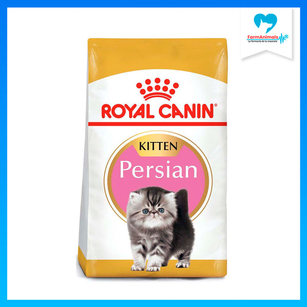 ROYAL CANIN GATITO BHN PERSIAN  1.36 KG