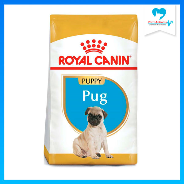 ROYAL CANIN CACHORRO BHN PUG PUPPY 1.14 KG