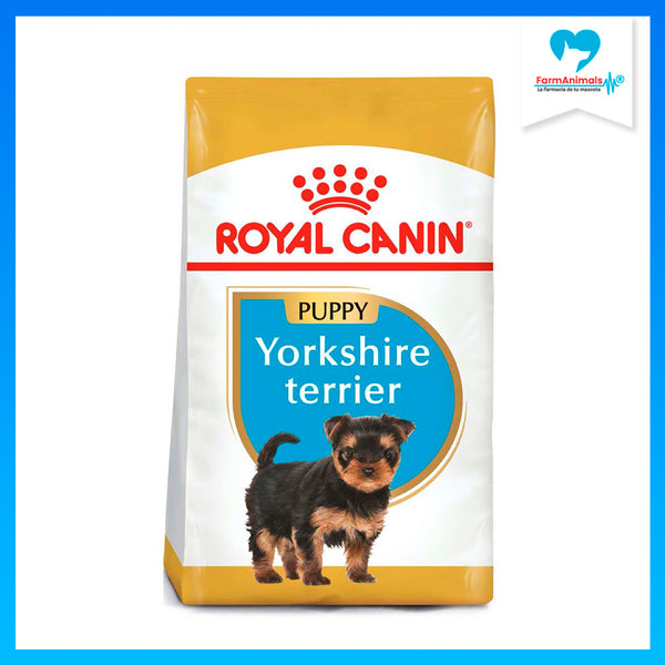 RC CACHORRO BHN YORKSHIRE TERRIER 1.14 KG