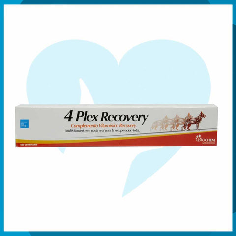 4 Plex Recovery Pasta Oral 30g