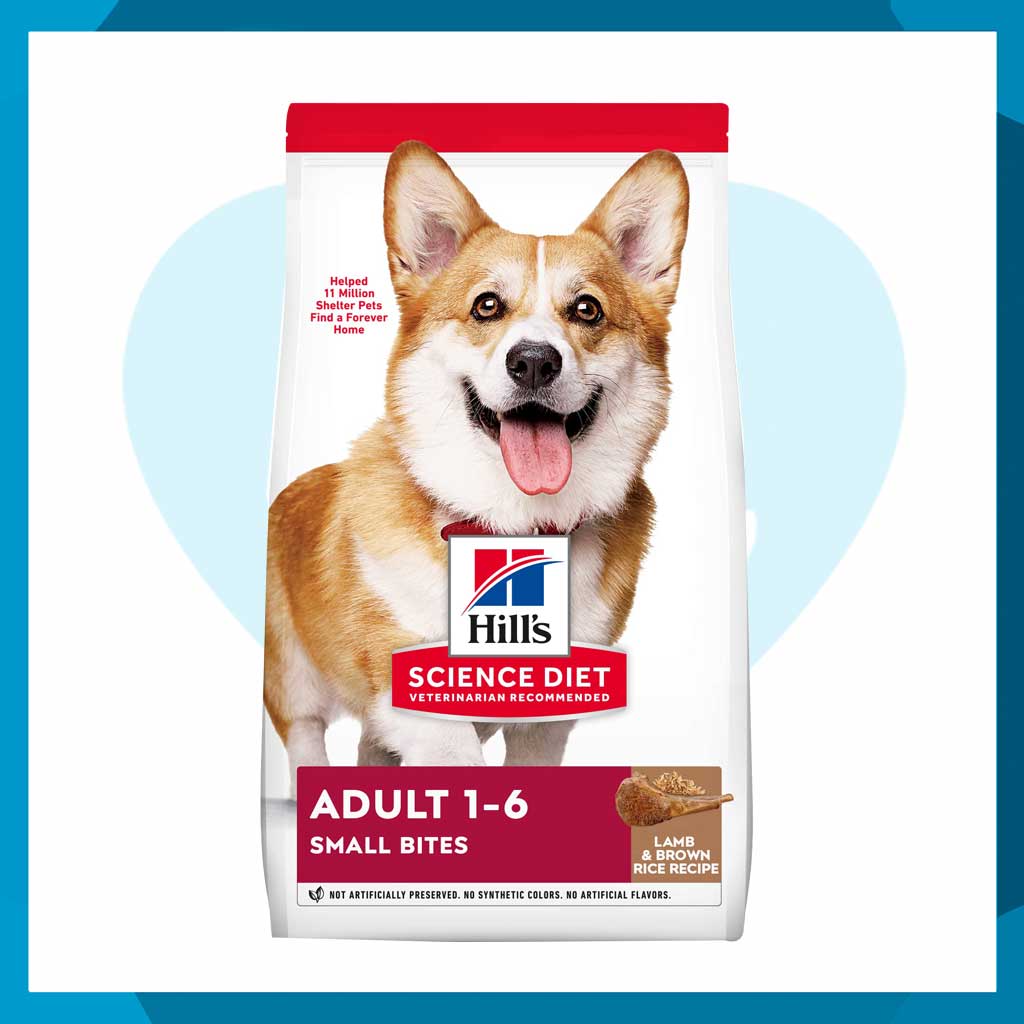 Alimento Hill's Science Diet Canine Adult Small Bites