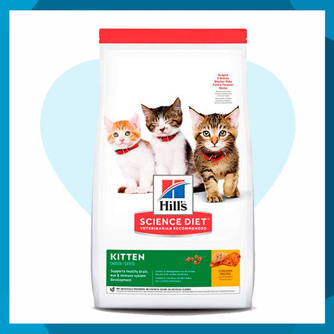 Alimento Hill's Science Diet Original Kitten Para Gato