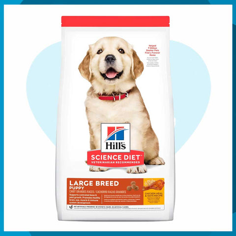 Alimento Hill's Science Diet Puppy Large Breed