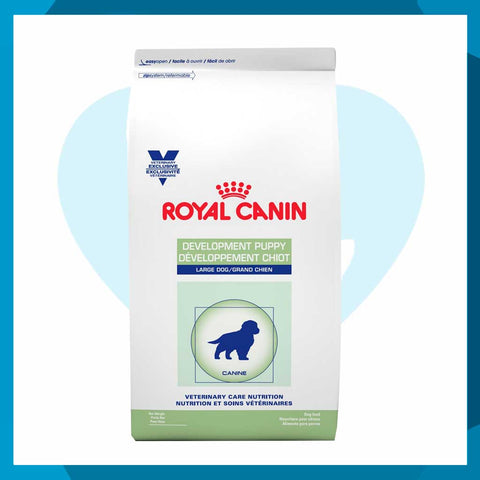 Alimento Royal Canin Development Puppy Large Dog 4kg