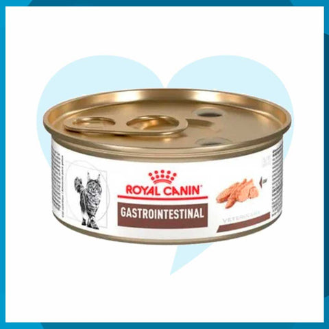 Alimento Royal Canin Feline Gastro-Intestinal Lata 165g