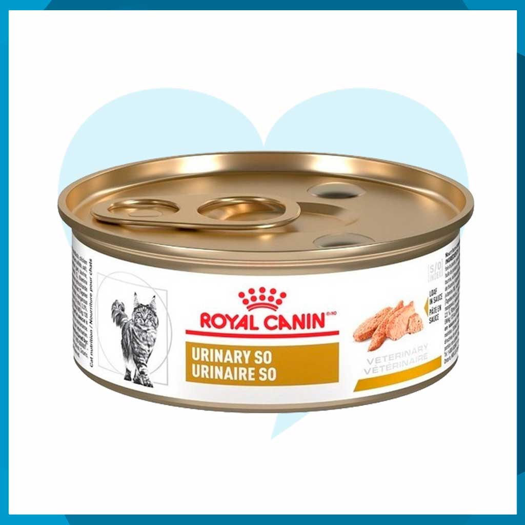 Alimento Royal Canin Feline Urinary SO Lata 150g