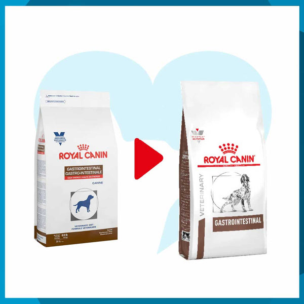 Alimento Royal Canin Gastro-Intestinal High Energy 10kg