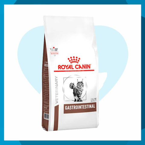 Alimento Royal Canin Gastro-Intestinal High Energy Feline 4kg