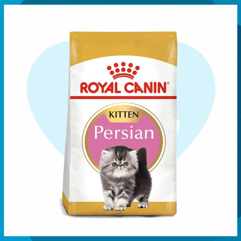 Alimento Royal Canin Persian Kitten 1.3kg