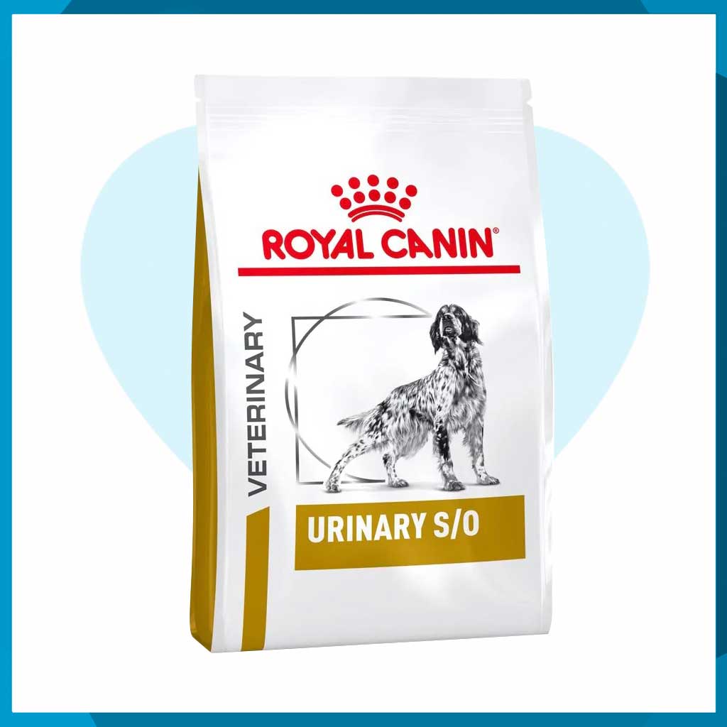 Alimento Royal Canin Urinary SO Canine 3kg
