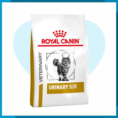 Alimento Royal Canin Urinary SO Feline 8kg