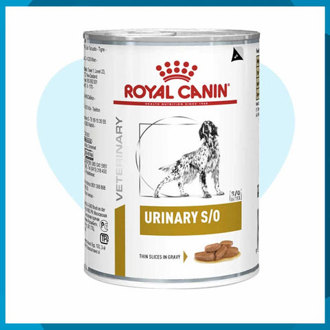 Alimento Royal Canin Urinary SO Lata 385g