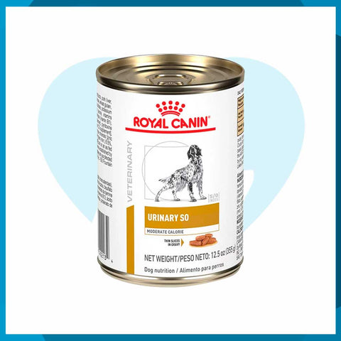 Alimento Royal Canin Urinary SO Mod Cal MIG Lata De 368g