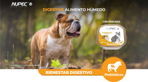 Alimento Nupec Digestive Para Perro Lata 100g