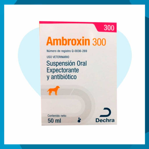 Ambroxin 300 Suspensión Oral 50ml