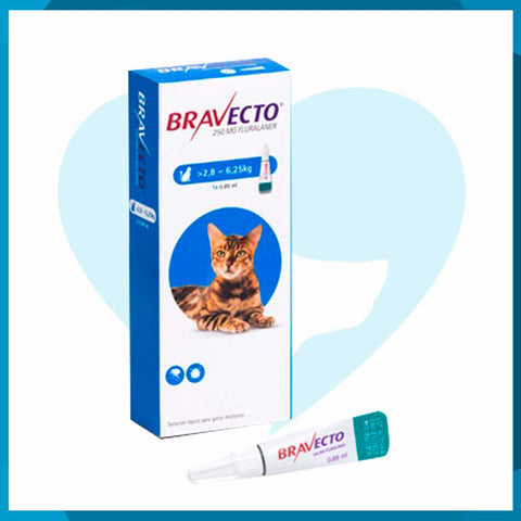 Bravecto Spot On Para Gatos Medianos 250mg 2.8 - 6.25kg 1pz