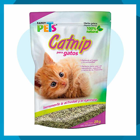 Catnip Fancy Pets Para Gato