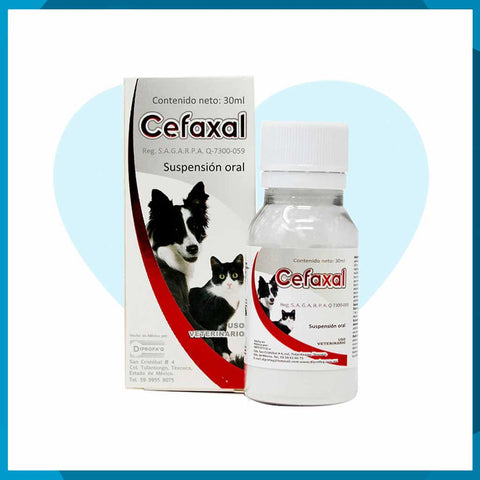 Cefaxal Suspensión Oral 30ml (requiere receta medica veterinaria vigente)