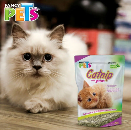 Catnip Fancy Pets Para Gato