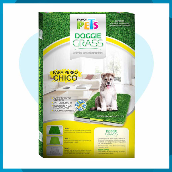 Doggie Grass Fancy Pets Chico Para Perros