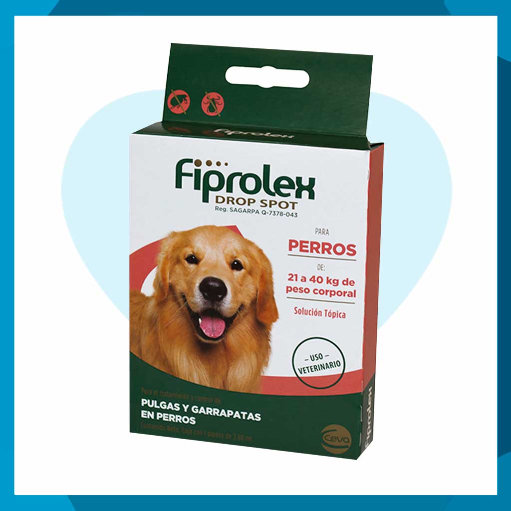 Fiprolex Pipeta Antipulgas Para Perro 21 a 40kg