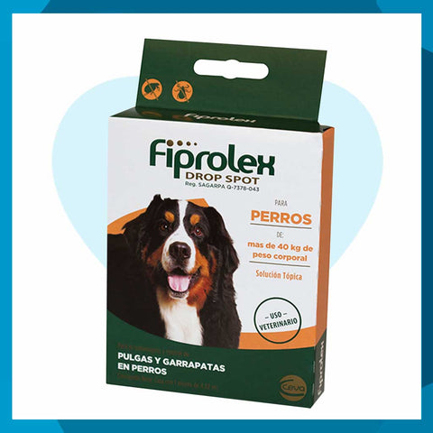 Fiprolex Pipeta Antipulgas Para Perro +40kg