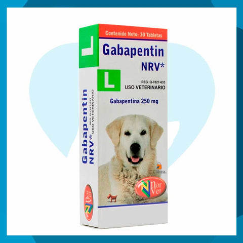 Gabapentin L 250mg Caja 30 Tabletas