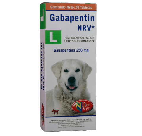 Gabapentin L 250mg Caja 30 Tabletas