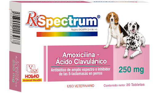 Rx Spectrum Amoxicilina y Ácido Clavulánico 250mg Caja 20 Tabletas